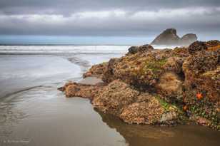 Moonstone Beach-9380 Moonstone Beach-9380